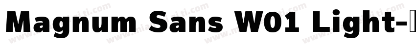 Magnum Sans W01 Light字体转换